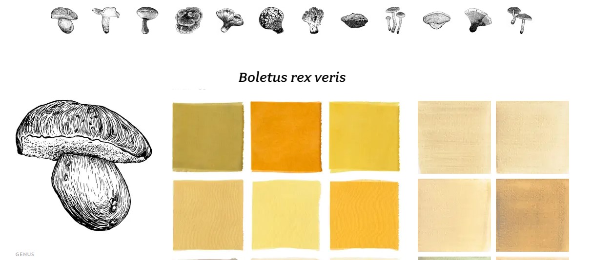 4. BioChromes Ziortza Aurrekoetxea